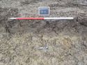 Thumbnail of East facing sample section of trench 13 (1m scale)