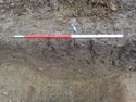Thumbnail of South-west facing section of ditch [705] (1m scale)
