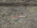 Thumbnail of West facing pre-excavation shot of terminus 1 in trench 13 (1m scale)