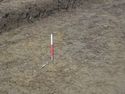 Thumbnail of North west facing pre-excavation shot of terminus of ditch 2 in trench 13 (1m scale)