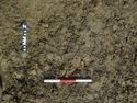 Thumbnail of North facing shot of pit 2 in trench 13 (0.3m scale)