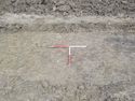 Thumbnail of North facing pre-excavation shot of ditch terminus in trench 12 (1m x 1m scale)