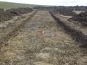 Thumbnail of East facing shot of trench 12 (1m x 1m scale)
