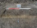 Thumbnail of South facing sample section of trench 12 (1m scale)
