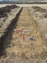 Thumbnail of West facing shot of trench 6 (1m x 1m scale)