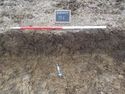 Thumbnail of North facing sample section of trench 6 (1m scale)