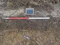Thumbnail of West facing sample section of trench 5 (1m scale)