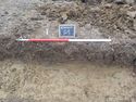 Thumbnail of South facing section of medieval furrow [603] (1m scale)