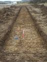 Thumbnail of South facing shot of trench 10 (1m x 1m scale)
