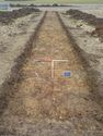 Thumbnail of North facing shot of trench 11 (1m x 1m scale)
