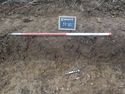 Thumbnail of East facing sample section of trench 10 (1m scale)