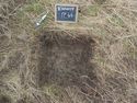 Thumbnail of South-east facing shot of test pit 44