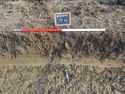 Thumbnail of South facing sample section of Trench 46 (1m scale)