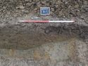 Thumbnail of West facing section of cut of field boundary [803] (1m scale)
