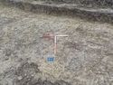 Thumbnail of West facing pre-excavation shot of feature in Trench 16 (1m x 1m scale)