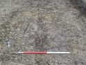 Thumbnail of North facing pre-excavation shot of feature in Trench 16 (1m scale)