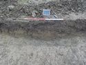 Thumbnail of South-west facing section of furrow [4615] (1m scale)