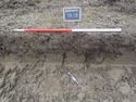 Thumbnail of South-west facing sample section of Trench 18 (1m scale)