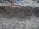 Thumbnail of North facing section of pit [4622] (1m scale)
