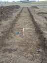 Thumbnail of North-east facing shot of Trench 15 (1m x 1m scale)