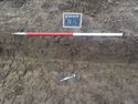 Thumbnail of South-east facing sample section of Trench 15 (1m scale)
