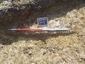 Thumbnail of North facing section of furrow [1405] (1m scale)