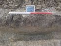 Thumbnail of South-east facing section of boundary ditch [1503] (1m scale)