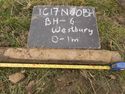 Thumbnail of BH5, top yellowey clay .40-1.00m ID board reads BH6