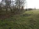 Thumbnail of BH7 location looking East (mill lade?)