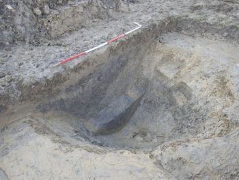 View to SW. Section 98.5 [9803], Section 98.6 [9820], Oblique shot with 1x 2m scale