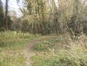 Thumbnail of General shot, view east, River Combe
