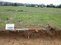 Thumbnail of Photo 1010709 Representational Section of Trench 1001