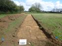 Thumbnail of Photo 1010710 View of Trench 1001