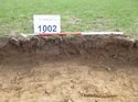 Thumbnail of Photo 1010718 Representational Section of Trench 1002
