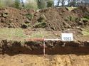 Thumbnail of Photo 1010745 Representational Section of Trench 1003