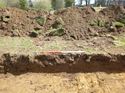 Thumbnail of Photo 1010747 Representational Section of Trench 1003