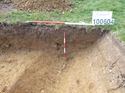 Thumbnail of Photo 1010748 East-facing section of linear 100604 without board