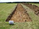 Thumbnail of Photo 1010758 View of Trench 1005