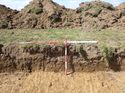 Thumbnail of Photo 1010778 Representational Section of Trench 1011 without board