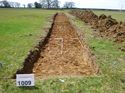 Thumbnail of Photo 1010781 View of Trench 1009