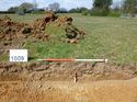 Thumbnail of Photo 1010784 Representational Section of Trench 1009