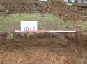 Thumbnail of Photo 1010802 Representational Section of Trench 1010