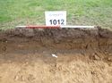 Thumbnail of Photo 1010816 Representational Section of Trench 1012