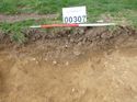 Thumbnail of Photo 1010821 East-facing section of linear 100307