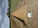 Thumbnail of Photo 1010846 View of Trench 1007 without board