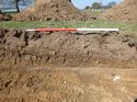 Thumbnail of Photo 1010860 Representational Section of Trench 1021