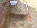 Thumbnail of Photo 1010875 View of possible geological feature or tree throw in Trench 1011
