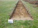Thumbnail of Photo 1010877 View of Trench 1013