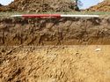 Thumbnail of Photo 1010882 View of Trench 1013