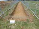 Thumbnail of Photo 1010887 View of Trench 1018
